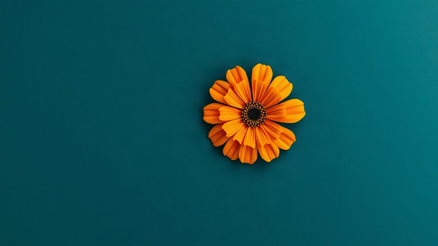 Una flor de cempasúchil de papel, de pétalos naranjas y centro oscuro, sola sobre un fondo azul verdoso